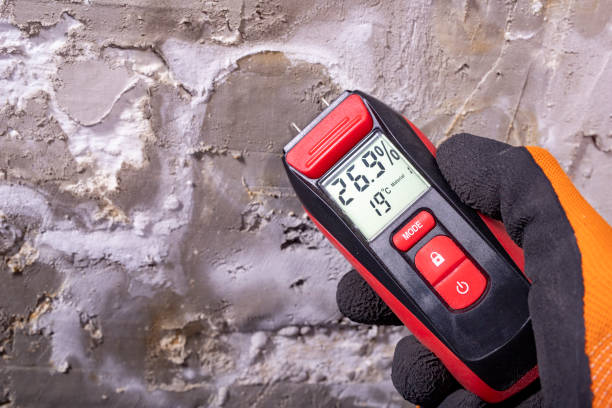 Best Best Mold Removal Companies  in Justin, TX