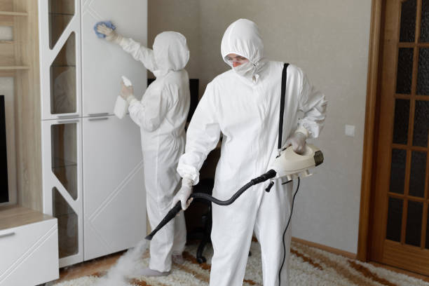 Best Emergency Mold Removal  in Justin, TX