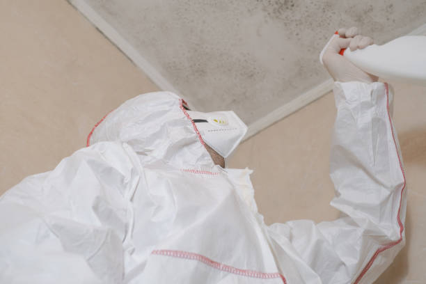 Best Same-Day Mold Removal  in Justin, TX
