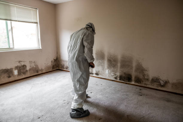 Best Crawl Space Mold Removal  in Justin, TX