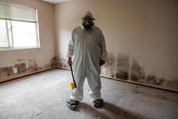 Best Mold Cleaning Services  in Justin, TX